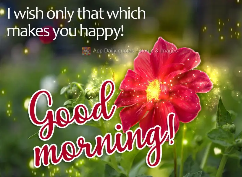 I wish you only that which makes you happy! Good morning!