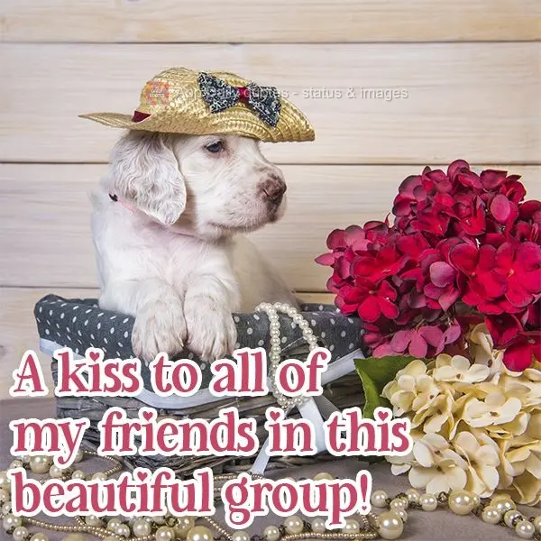 Um beijo pra todos os meus amigos deste lindo grupo!