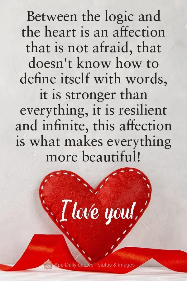 Between the logic and the heart is an affection that is not afraid, that doesn't know how to define itself with words. It is stronger than everything. It...