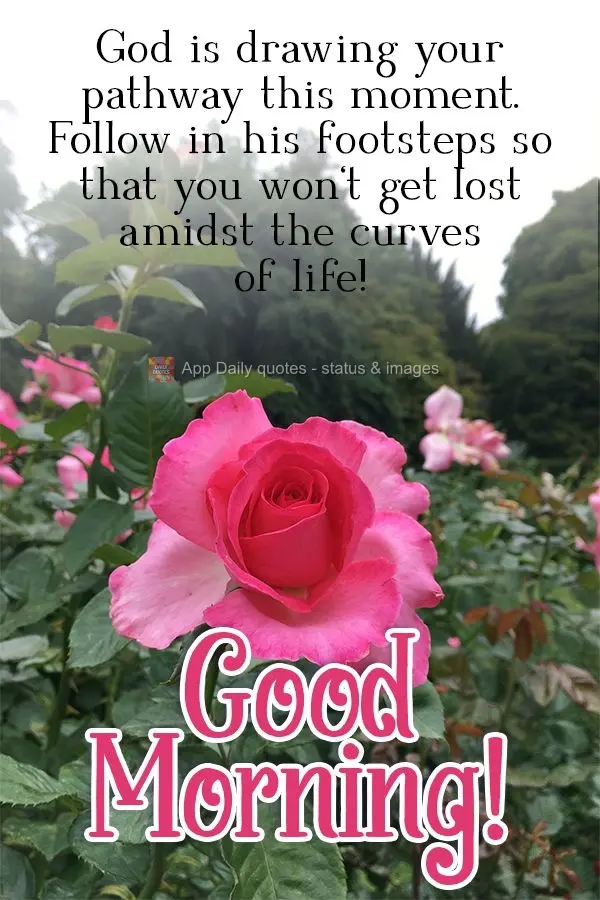 Deus está traçando seu caminho neste momento, siga seus passos para não se perder dentre as curvas da vida! Bom dia! 