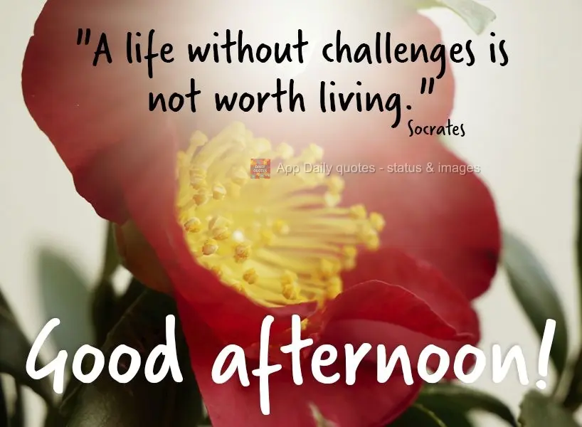 "A life without challenges is not worth living." Good afternoon! Socrates