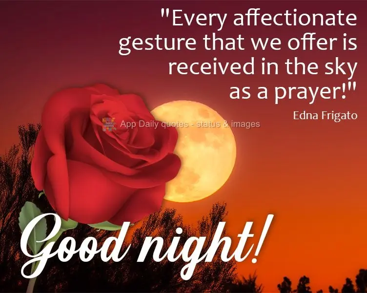 "Every affectionate gesture that we offer is received in the sky as a prayer!" Good night! Edna Frigato