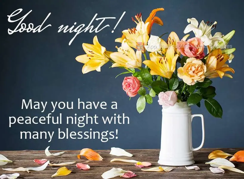 May you have a peaceful night with many blessings! Good night!