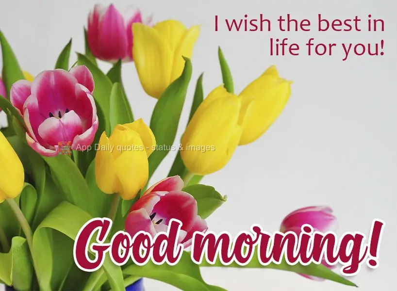 I wish the best in life for you! Good morning!