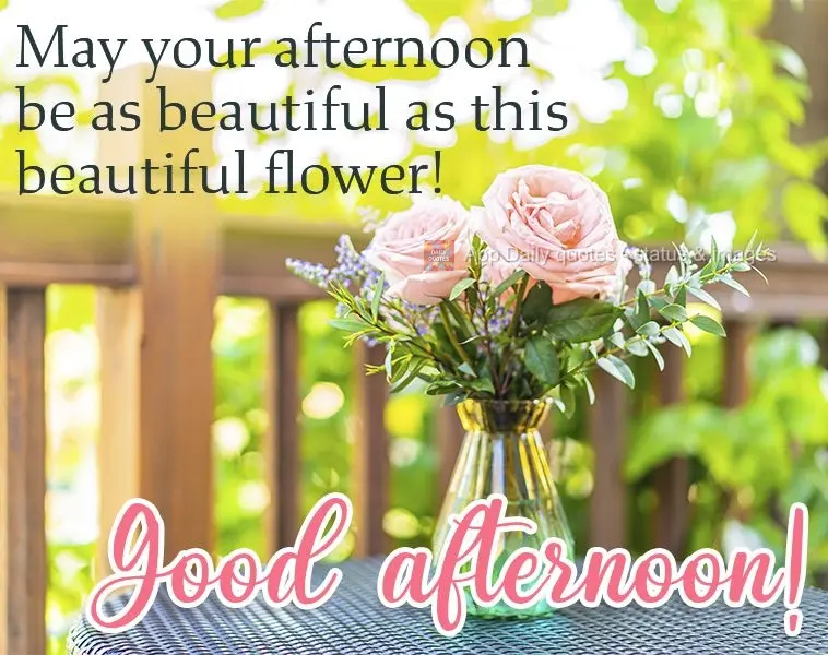 May your afternoon be as beautiful as this beautiful flower! Good afternoon!