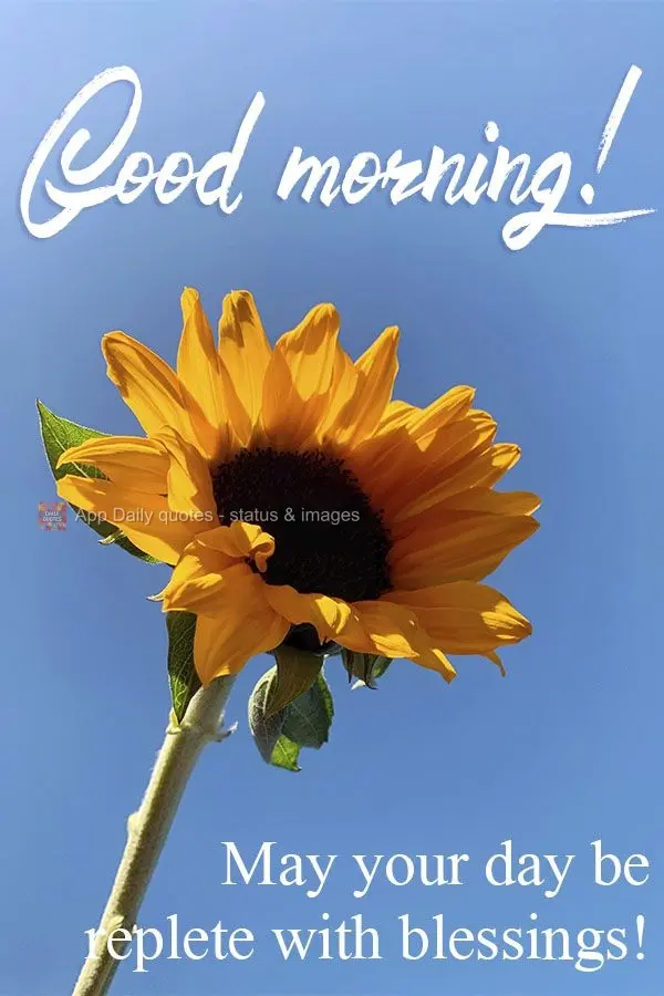 May your day be replete with blessings! Good morning!