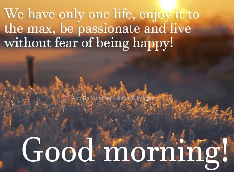 A vida é uma só, aproveite ao máximo, seja intenso e viva sem medo de ser feliz! Bom dia! 