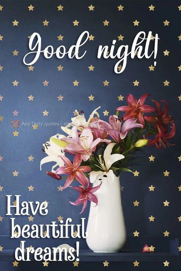 Good night! Have sweet dreams!