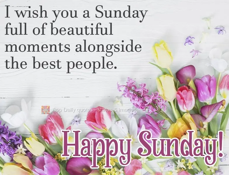 I wish you a Sunday full of beautiful moments alongside the best people. Happy Sunday!