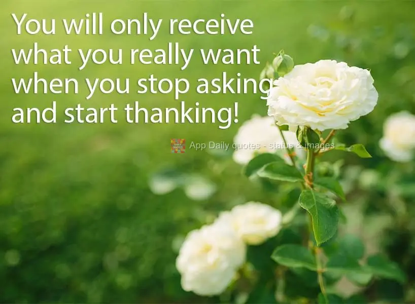 Só irá receber aquilo que tanto desejas, quando parar de pedir e começar a agradecer!