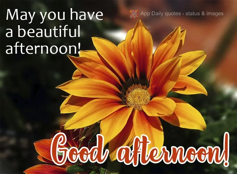 May you have a beautiful afternoon! Good afternoon!