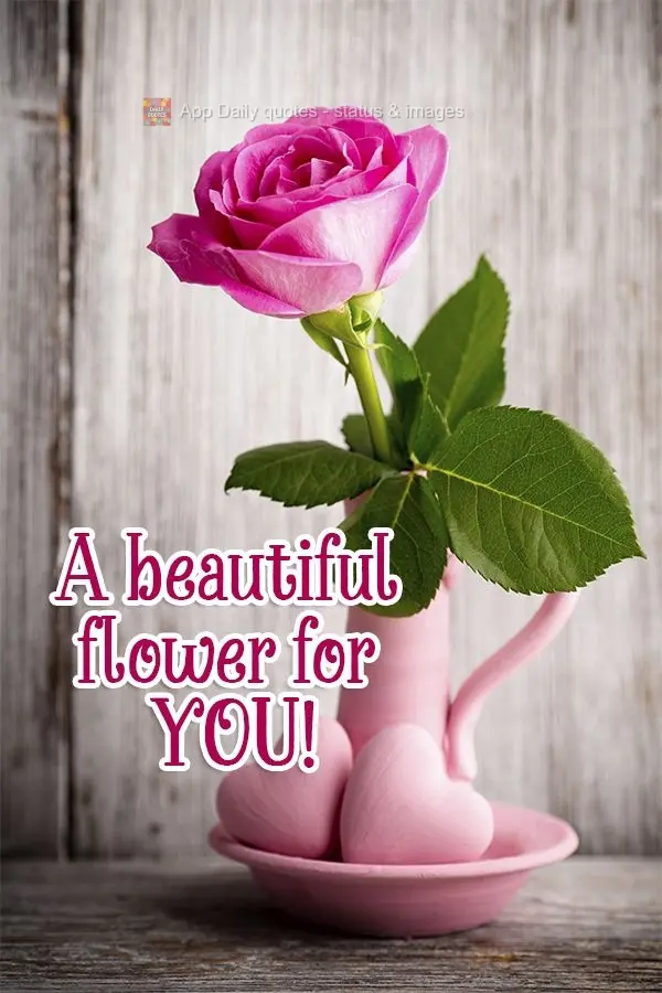 A beautiful flower for you!