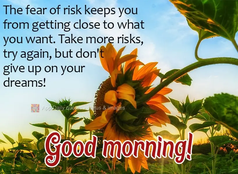 O medo de arriscar te impede de estar próximo daquilo que deseja. Arrisque-se mais, tente de novo, mas não desista dos seus sonhos! Bom dia! 