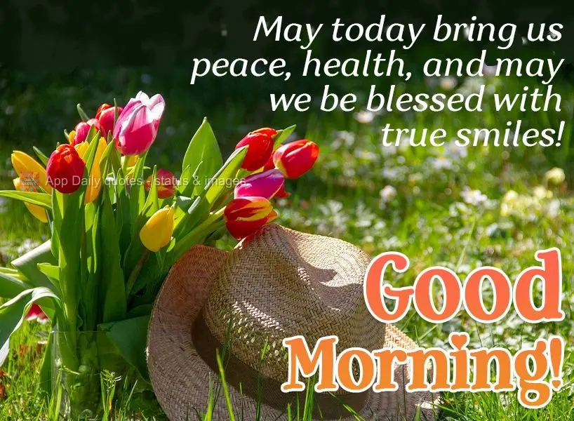 May today bring us peace, health, and may we be blessed with true smiles! Good morning!