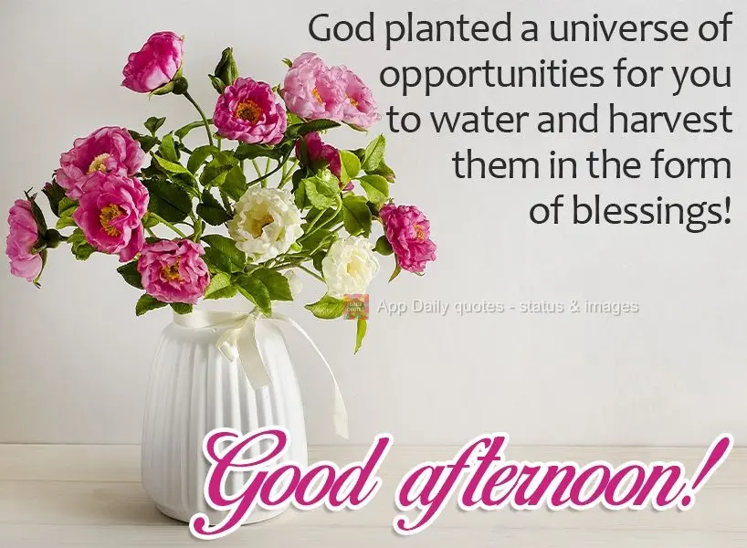 Deus plantou um universo de oportunidades para você regá-las e colhê-las em forma de bênçãos! Boa tarde! 