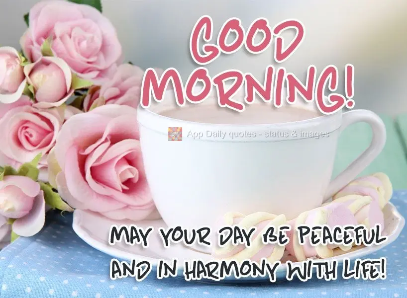 Que seu dia seja de paz e harmonia com a vida! Bom dia! 