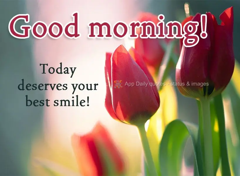 O dia de hoje merece seu melhor sorriso! Bom dia! 