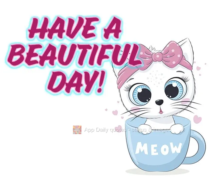 Have a beautiful day!