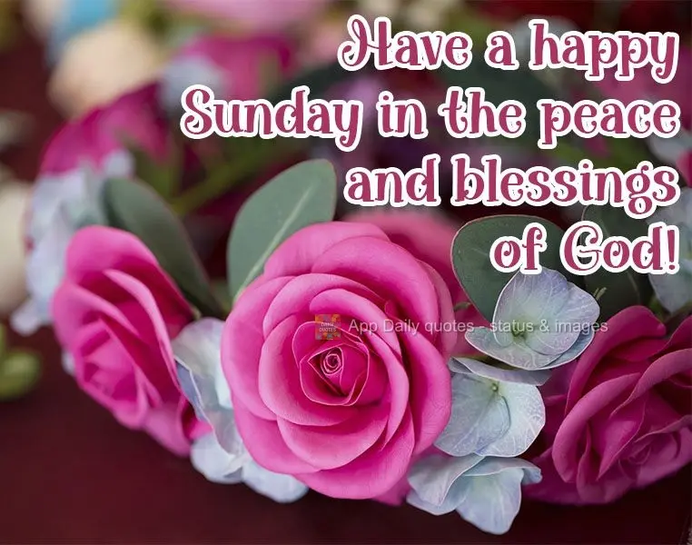 Have a happy Sunday in the peace and blessings of God!