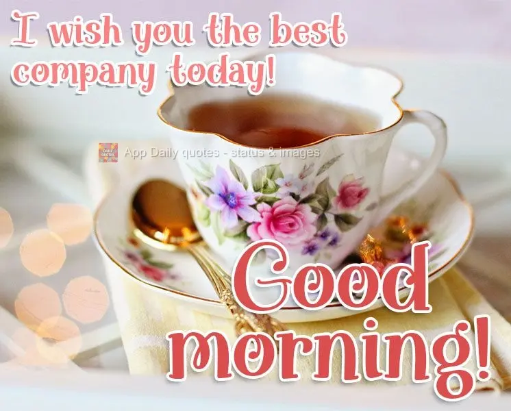 Desejo as melhores companhias no dia de hoje! Bom dia! 