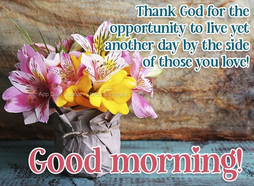 Agradeça a Deus por ter a oportunidade de viver mais um dia ao lado das pessoas que ama! Bom dia! 