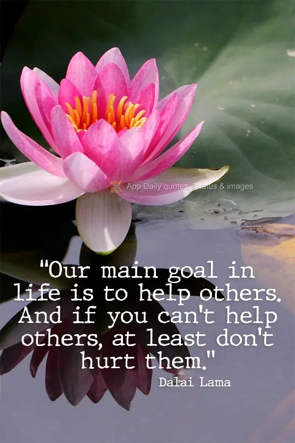"Our main goal in life is to help others. But if you can't help others, at least don't hurt them." Dalai Lama