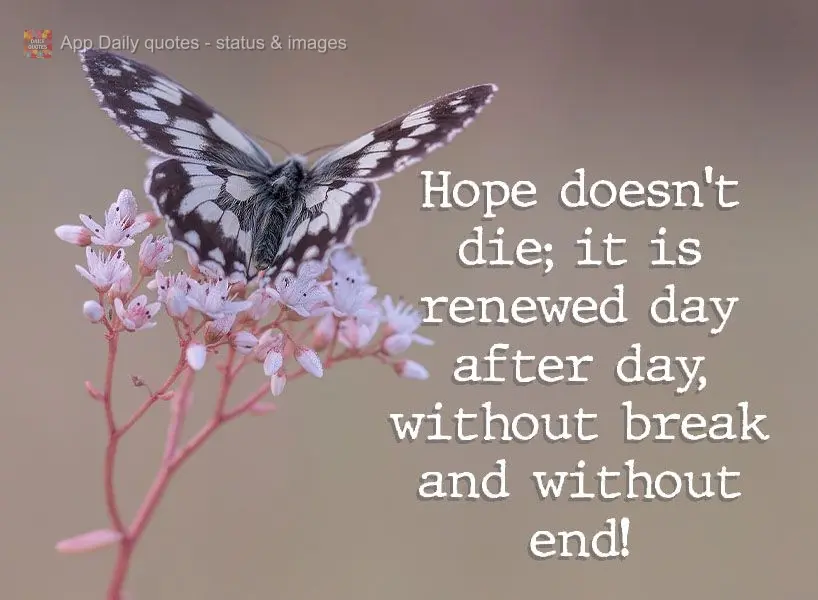 Hope doesn't die. It is renewed day after day, without break and without end!