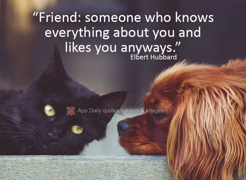"Friend: someone who knows everything about you and likes you anyways." Elbert Hubbard