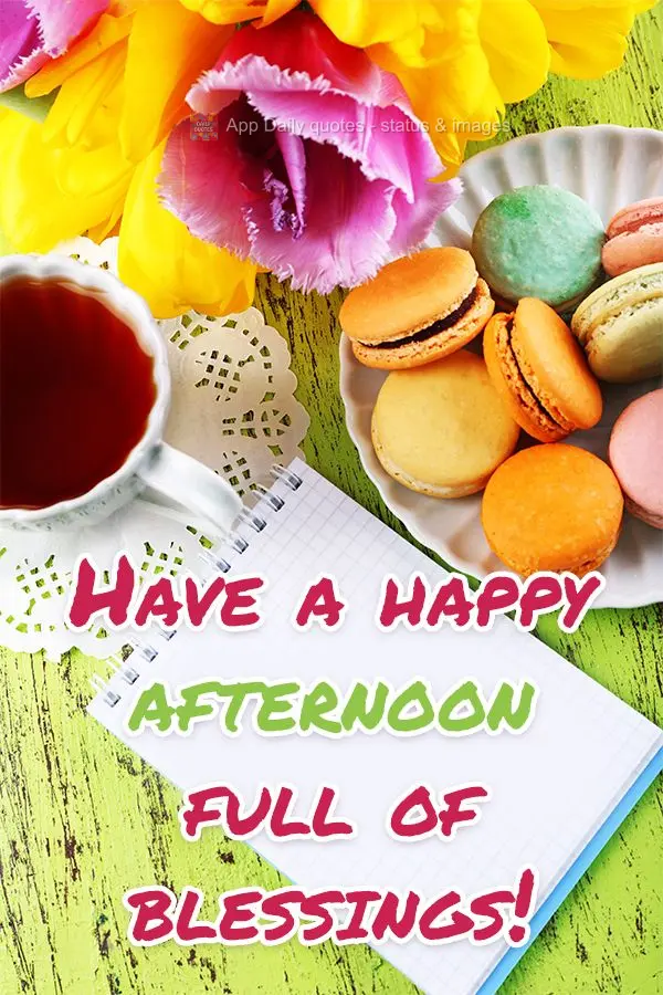 Tenha uma tarde feliz e cheia de bênçãos!