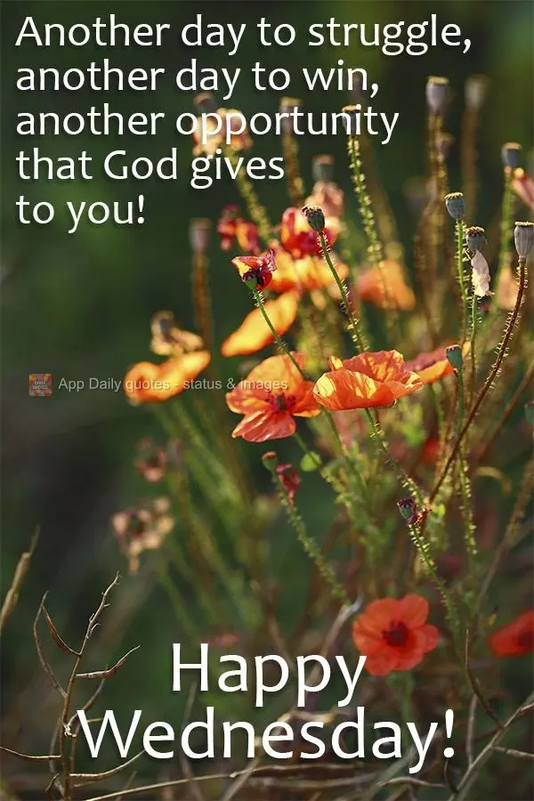 Another day to struggle, another day to win, another opportunity that God gives you! Happy Wednesday!