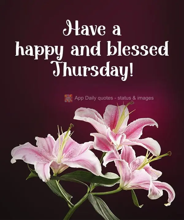 Have a happy and blessed Thursday!