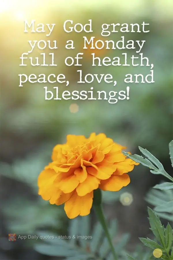 May God grant you a Monday full of good health, peace, love, and blessings!