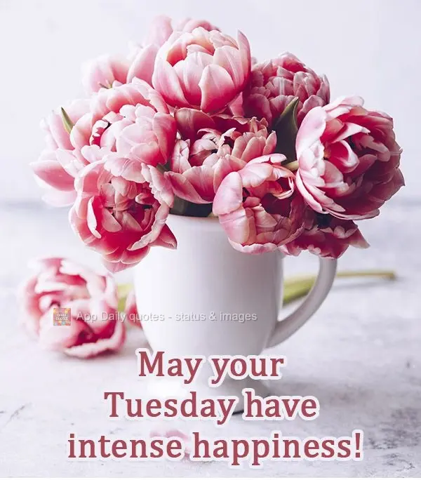 May your Tuesday have intense happiness!