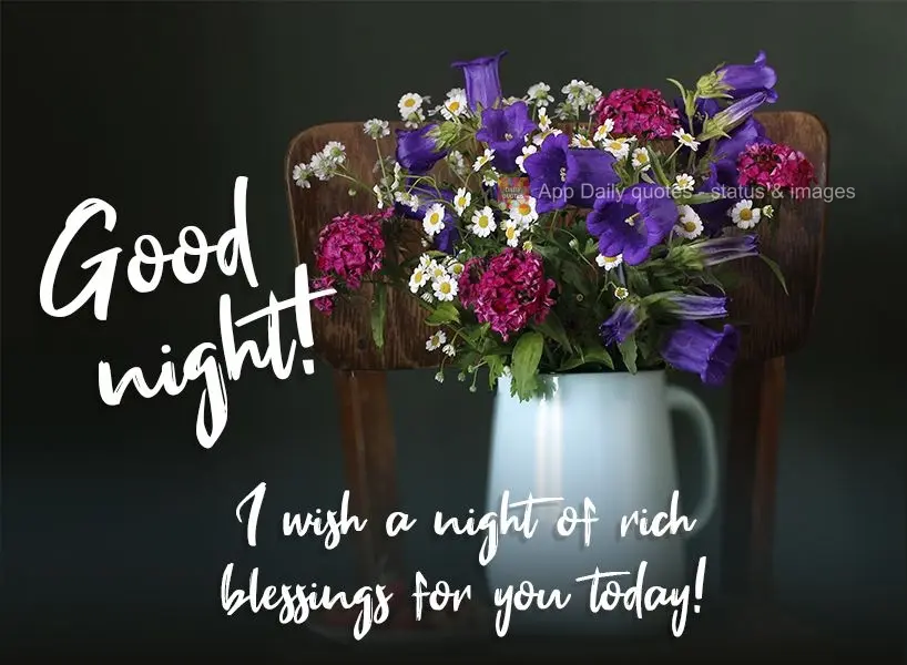 I wish you a night rich in blessings today! Good night!