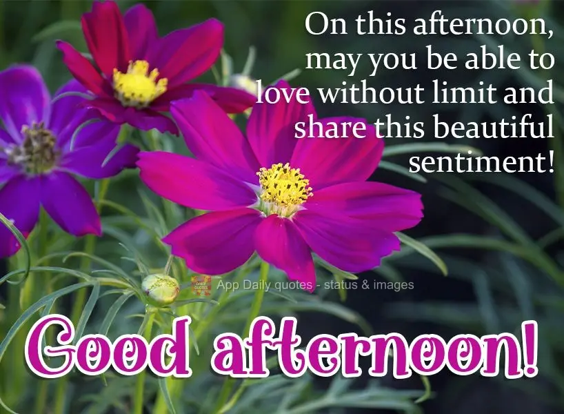 Que nesta tarde você possa amar sem limites e compartilhar esse lindo sentimento! Boa tarde! 