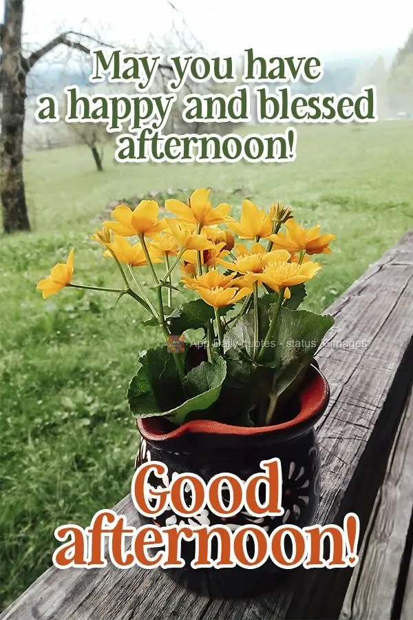 Que você tenha uma tarde feliz e abençoada! Boa tarde! 