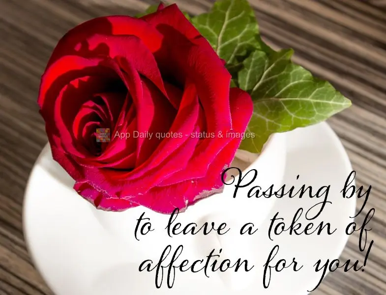 Passing by to leave a token of affection for you!