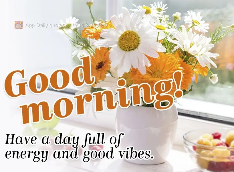 Tenha um dia cheio de energia e disposição. Bom dia!