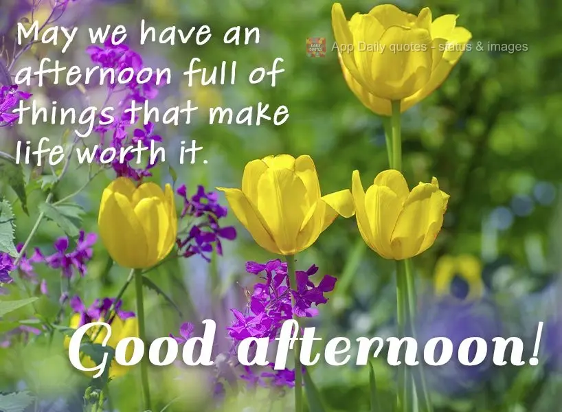 Que tenhamos uma tarde cheia de coisas que fazem a vida valer a pena.  Boa tarde!