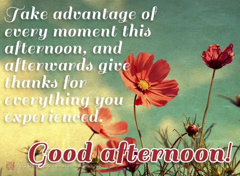Aproveite cada momento de sua tarde, e no final dela agradeça por tudo que viveu. Boa tarde!