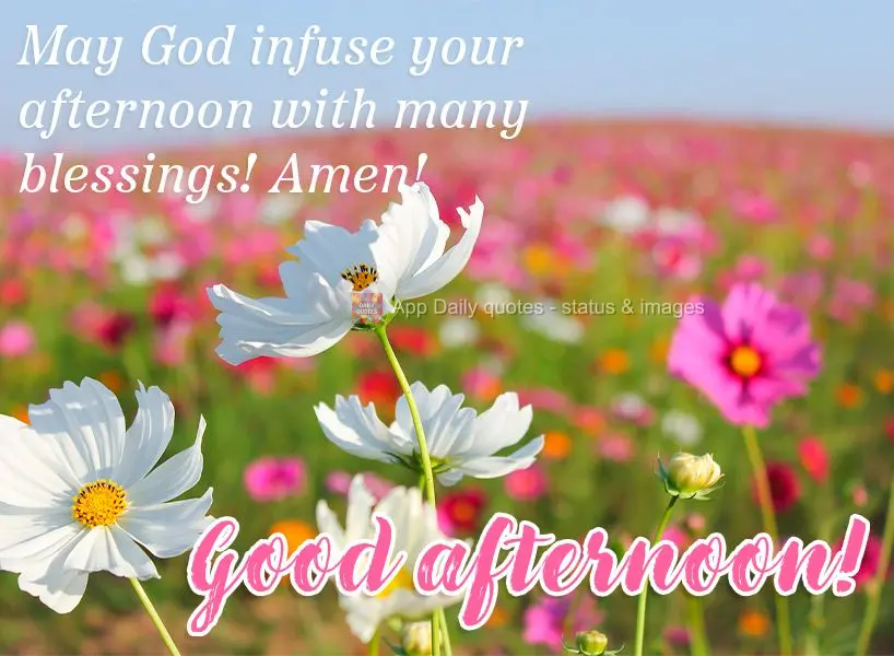 May God infuse your afternoon with many blessings! Amen! Good afternoon!