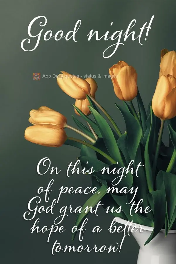 On this peaceful night, may God grant us the hope of a better tomorrow! Good night!