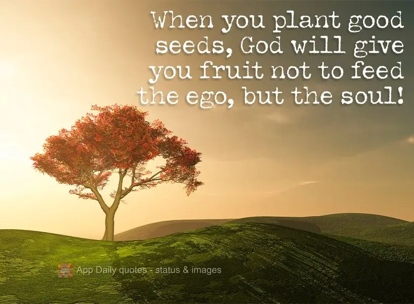 When you plant good seeds, God will give you the fruit not to feed the ego, but the soul!