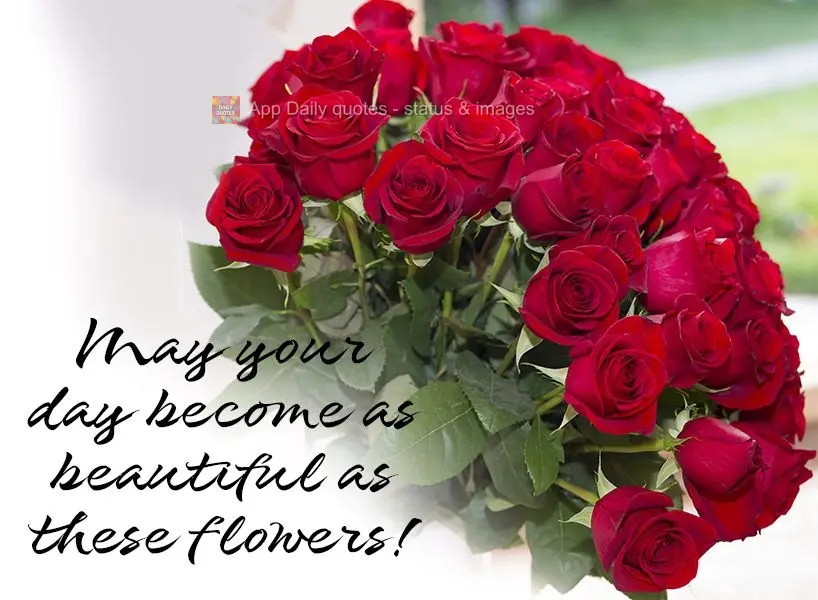 Que seu dia se torne tão lindo quanto essas flores!