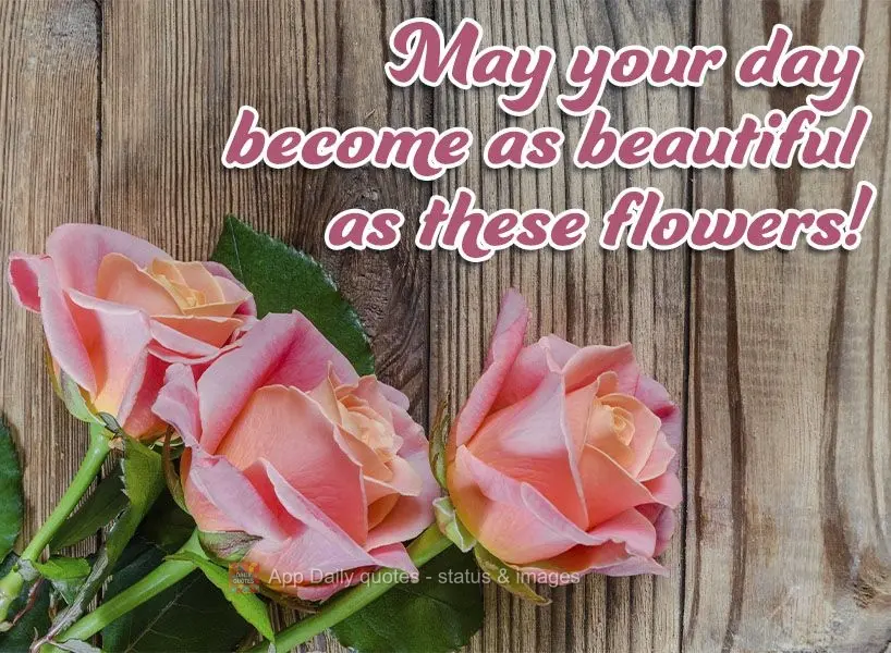 Que seu dia se torne tão lindo quanto essas flores!