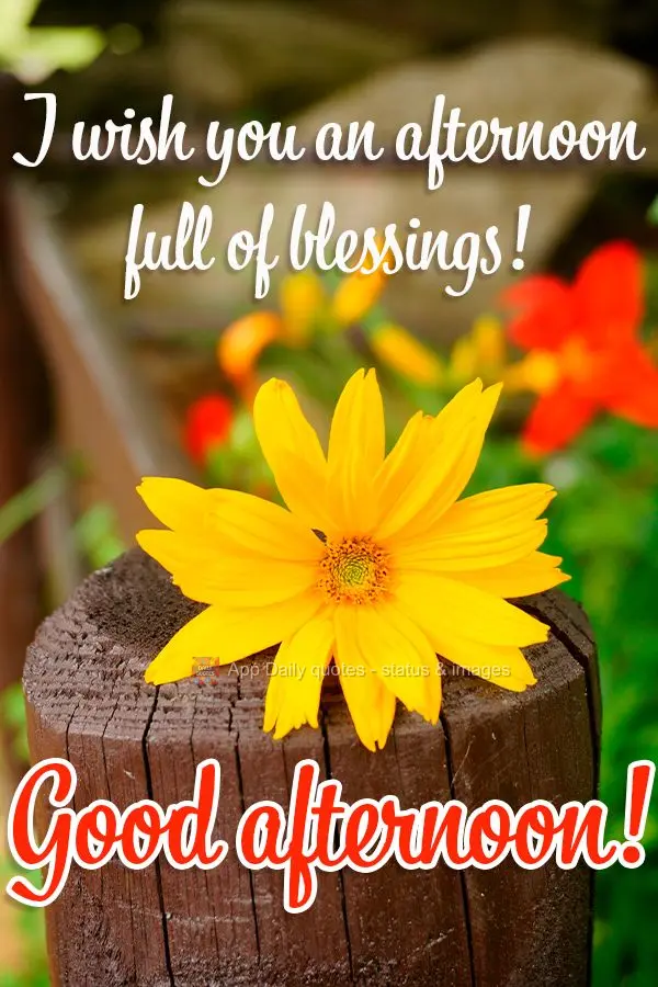 I wish you an afternoon full of blessings! Good afternoon!