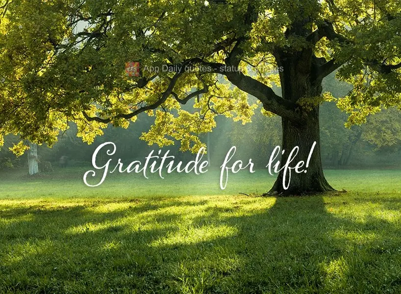 Be thankful for the life you lead!