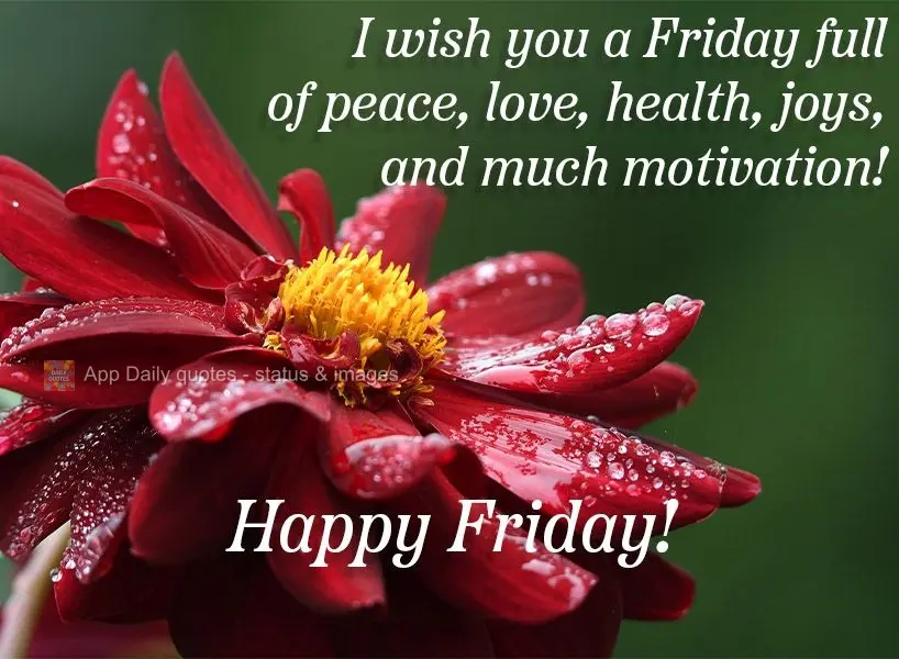 I wish you a Friday full of peace, love, health, joy, and motivation! Happy Friday!