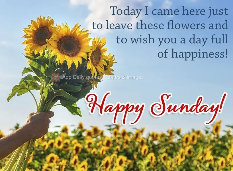 Today I stopped by just to leave these flowers and to wish you a day full of happiness! Happy Sunday!