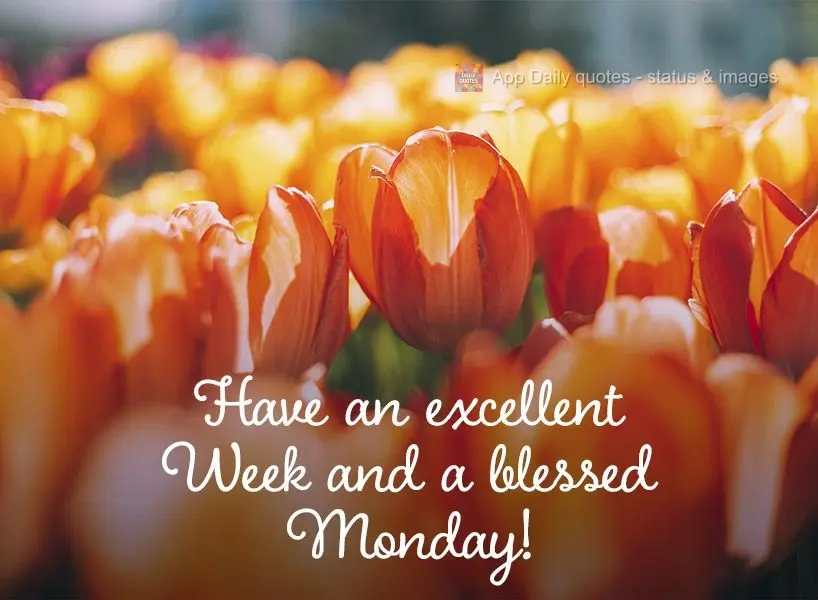 Tenha uma excelente Semana e uma Segunda-feira abençoada!